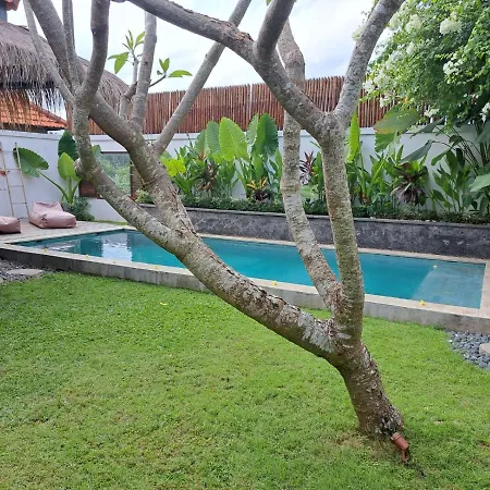 Villa Elo-2